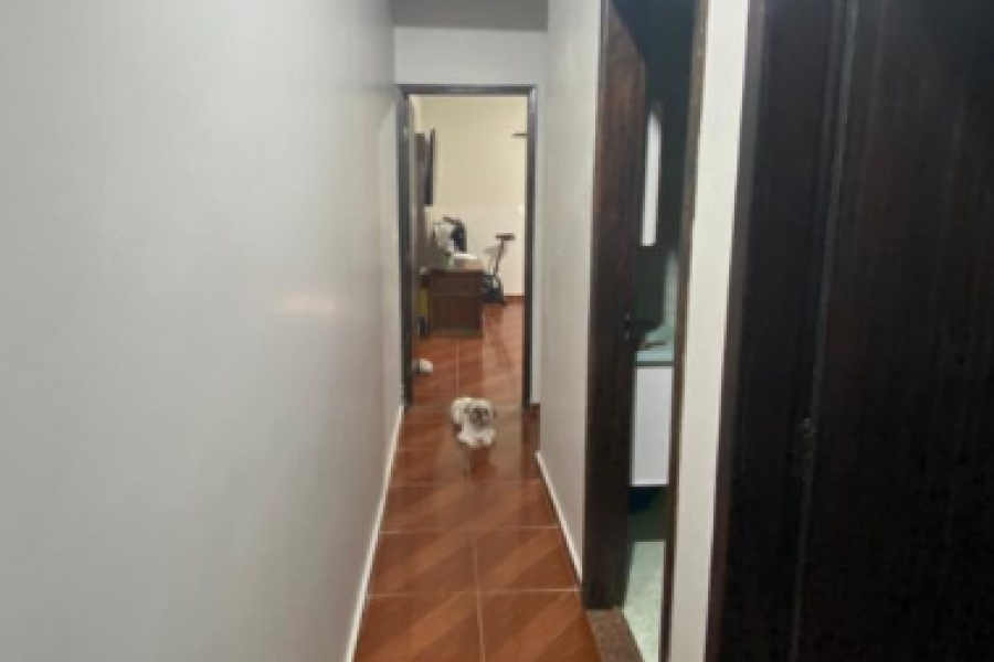 Captura de Tela (341)