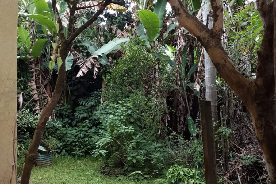 WhatsApp Image 2025-07-09 at 14.53.26