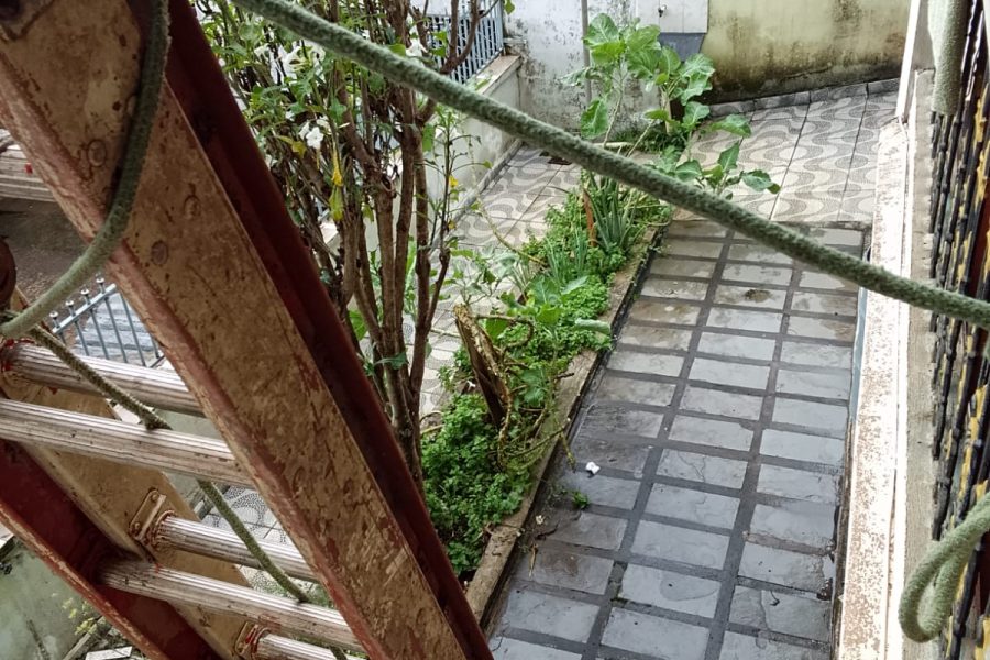 WhatsApp Image 2025-07-23 at 16.36.28 (1)