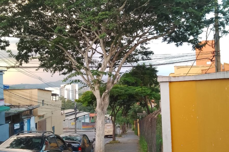 WhatsApp Image 2025-07-23 at 16.44.43 (2)