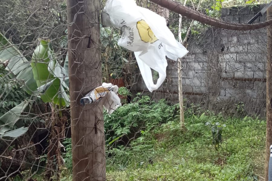 WhatsApp Image 2025-08-07 at 15.43.47 (1)