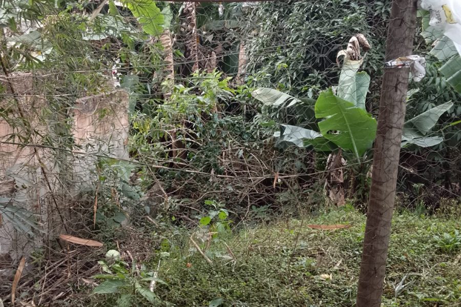 WhatsApp Image 2025-08-07 at 15.44.09