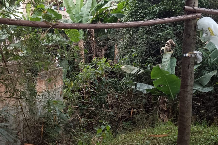 WhatsApp Image 2025-08-07 at 15.44.22