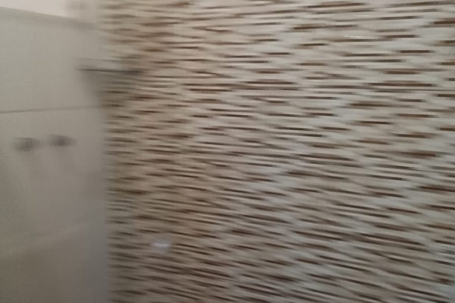 WhatsApp Image 2025-09-11 at 15.54.41