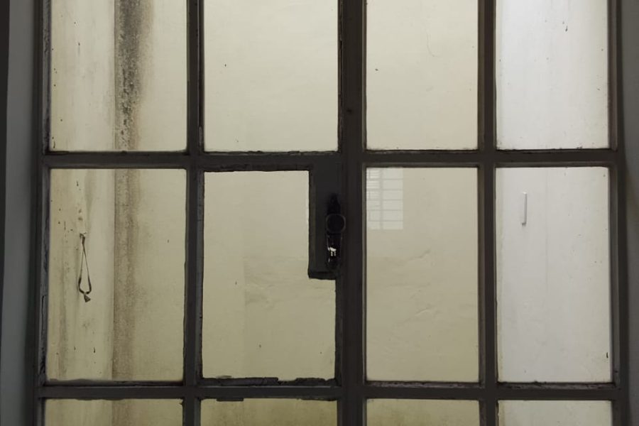 WhatsApp Image 2025-09-19 at 14.30.49 (4)