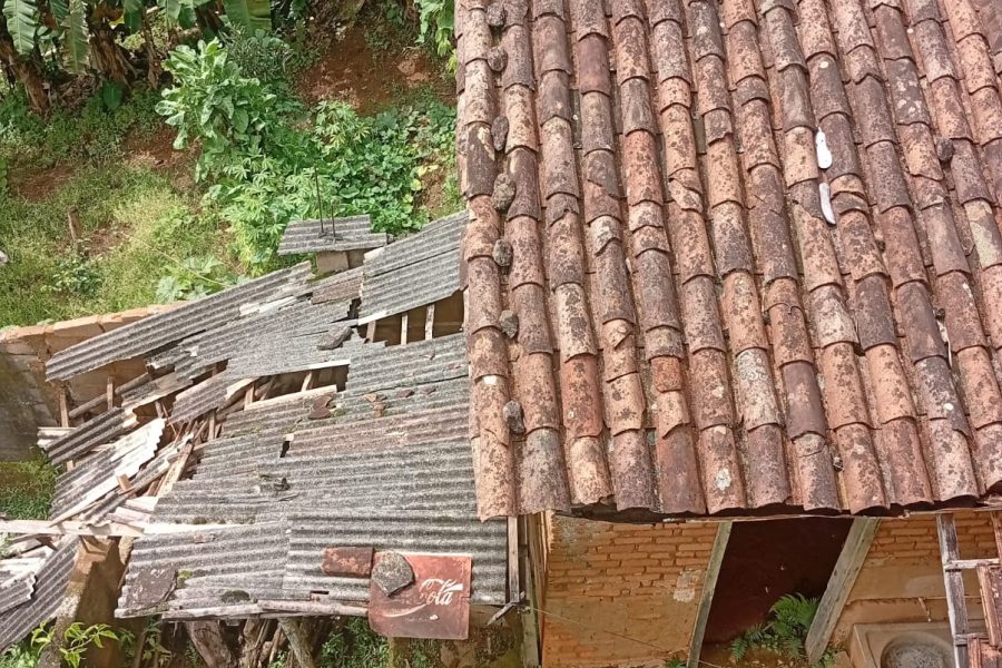 WhatsApp Image 2026-02-09 at 15.27.26